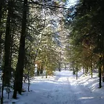 Spacieux Proche Foret Avec Sauna, Baby Foot Et Activites Exterieures - A 10 Min De Remiremont - Fr-1-589-293 *