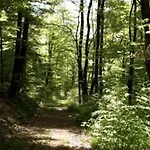 Spacieux Proche Foret Avec Sauna, Baby Foot Et Activites Exterieures - A 10 Min De Remiremont - Fr-1-589-293 Prázdninový dům