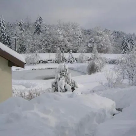 Spacieux Proche Foret Avec Sauna, Baby Foot Et Activites Exterieures - A 10 Min De Remiremont - Fr-1-589-293 בית נופש
