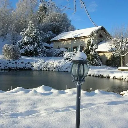 Spacieux Proche Foret Avec Sauna, Baby Foot Et Activites Exterieures - A 10 Min De Remiremont - Fr-1-589-293