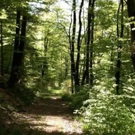 Spacieux Proche Foret Avec Sauna, Baby Foot Et Activites Exterieures - A 10 Min De Remiremont - Fr-1-589-293 Prázdninový dům