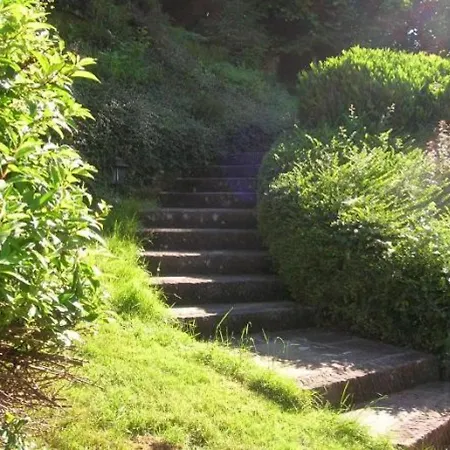 בית נופש Spacieux Proche Foret Avec Sauna, Baby Foot Et Activites Exterieures - A 10 Min De Remiremont - Fr-1-589-293 Saint-Nabord