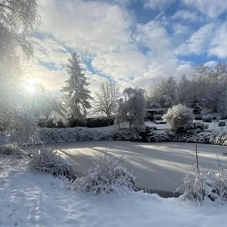 Spacieux Proche Forêt Avec Sauna, Baby Foot Et Activités Extérieures - à 10 Min De Remiremont - Fr-1-589-293 Saint-Nabord