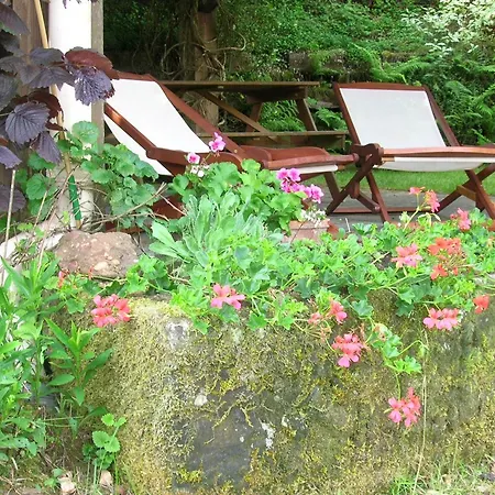 Spacieux Proche Foret Avec Sauna, Baby Foot Et Activites Exterieures - A 10 Min De Remiremont - Fr-1-589-293 בית נופש