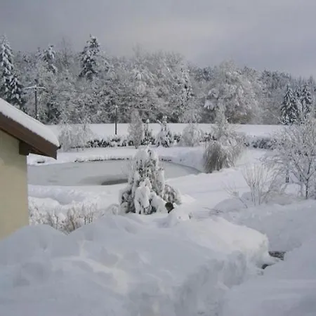 Spacieux Proche Foret Avec Sauna, Baby Foot Et Activites Exterieures - A 10 Min De Remiremont - Fr-1-589-293 *