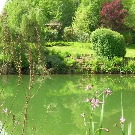 בית נופש Spacieux Proche Foret Avec Sauna, Baby Foot Et Activites Exterieures - A 10 Min De Remiremont - Fr-1-589-293