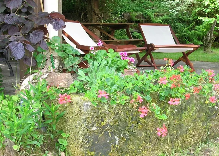 Spacieux Proche Foret Avec Sauna, Baby Foot Et Activites Exterieures - A 10 Min De Remiremont - Fr-1-589-293 Saint-Nabord