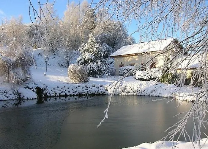 Prázdninový dům Spacieux Proche Foret Avec Sauna, Baby Foot Et Activites Exterieures - A 10 Min De Remiremont - Fr-1-589-293 *