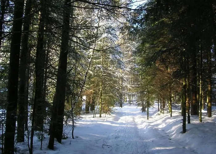 Spacieux Proche Foret Avec Sauna, Baby Foot Et Activites Exterieures - A 10 Min De Remiremont - Fr-1-589-293 *