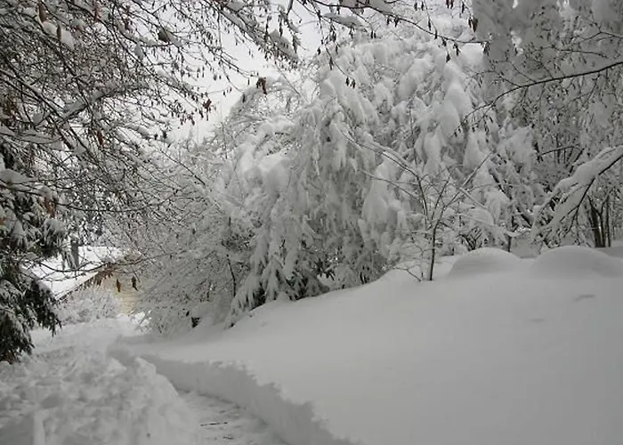 Spacieux Proche Foret Avec Sauna, Baby Foot Et Activites Exterieures - A 10 Min De Remiremont - Fr-1-589-293