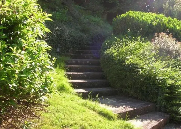 Prázdninový dům Spacieux Proche Foret Avec Sauna, Baby Foot Et Activites Exterieures - A 10 Min De Remiremont - Fr-1-589-293 Saint-Nabord