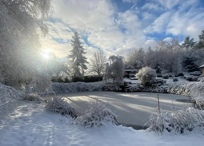 Spacieux Proche Foret Avec Sauna, Baby Foot Et Activites Exterieures - A 10 Min De Remiremont - Fr-1-589-293 Saint-Nabord